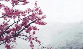 2021年中秋节九寨沟下雪了吗 九寨沟连续三天下雪