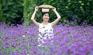 紫色代表啥心情 紫色心情是什么东西