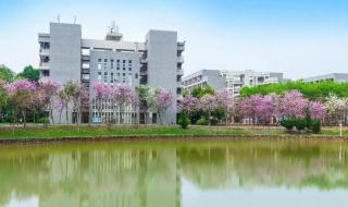 广东省大专院校排名 广东省大专院校排名