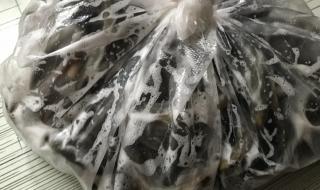 新鲜的光滑大鱼 新鲜的光滑大鱼