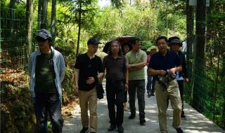 厦门大学独立学院有几个 厦门大学艺术学院