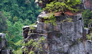 张家界有动物园吗 张家界风景图片