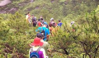 黎明唱的相逢在雨中歌词是什么意思 相逢在雨中