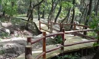 五一假期的小美好