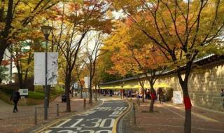 首尔大学世界排名第几 延世大学世界排名