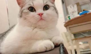 岁月就像一把杀猪刀