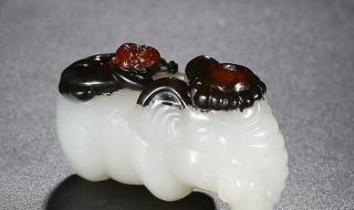 象是哪个民族的生肖 象是哪个民族的生肖